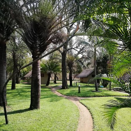 Shumba Safari Bush Camp Hoedspruit Exterior foto