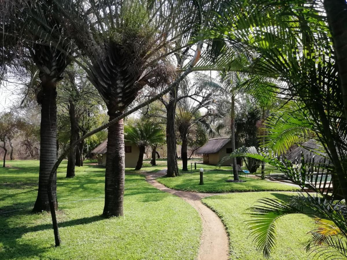 Shumba Safari Bush Camp Hoedspruit Exterior foto